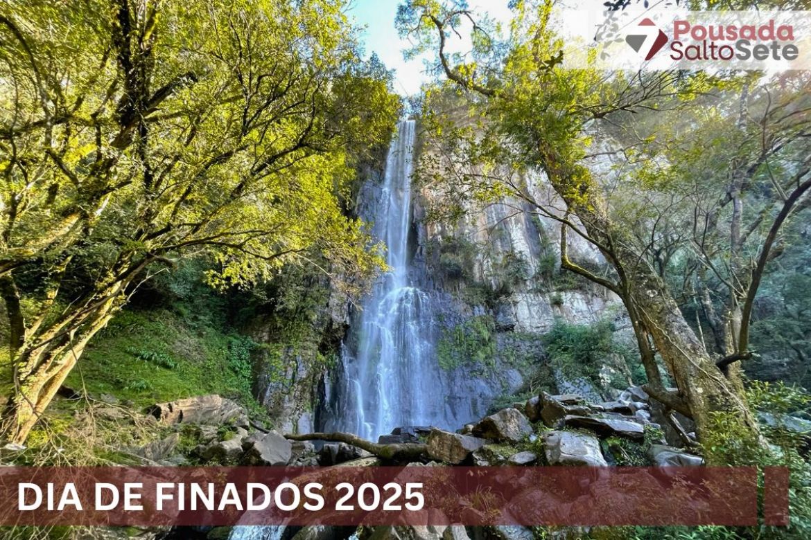 Feriado Finados 2025