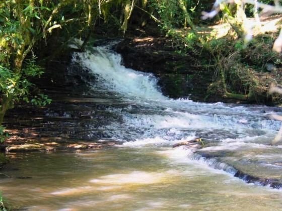 Imagem um pequeno fluxo água corrente entre árvores, de uma cachoeira no Salto Sete Adventure Park em Prudentópolis no Paraná