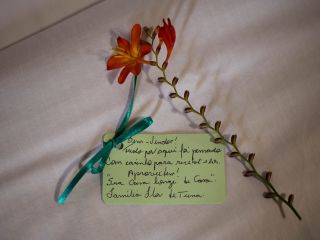  1744061747-pousada-em-urubici-024.jpg