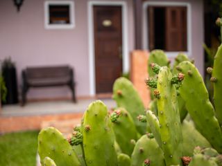  1744062078-pousada-em-urubici-060.jpg