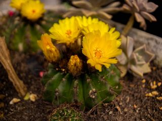  1744062214-pousada-em-urubici-065.jpg