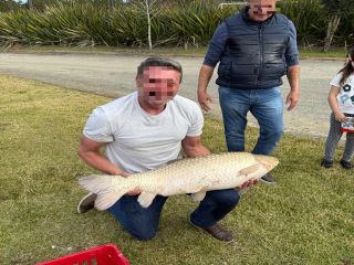  1754311279-carpa-pesca-esportiva-ozera-hotel-fazenda-prudentopolis-parana.jpg