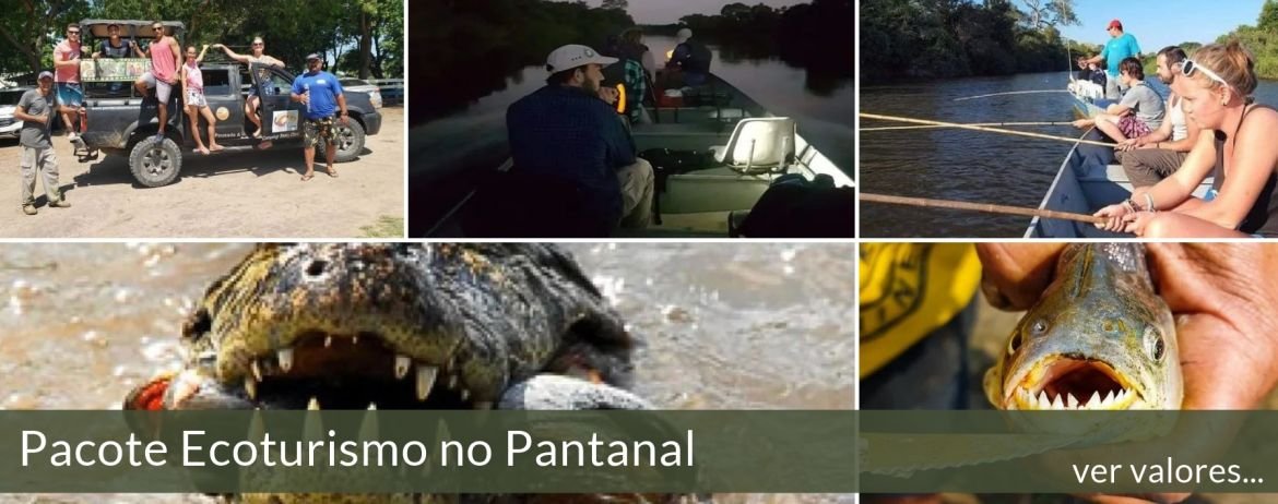 Pacote Ecoturismo no Pantanal 2023 - 2024 (Inclui Refeições)