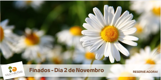 Pacote Feriado de Finados 2 de Novembro em Urubici 2025